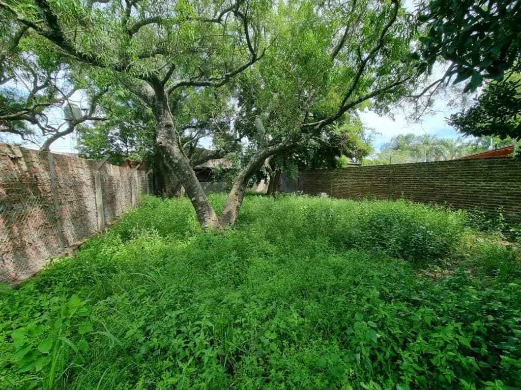 Local comercial en Venta en Sauce viejo - foto 7
